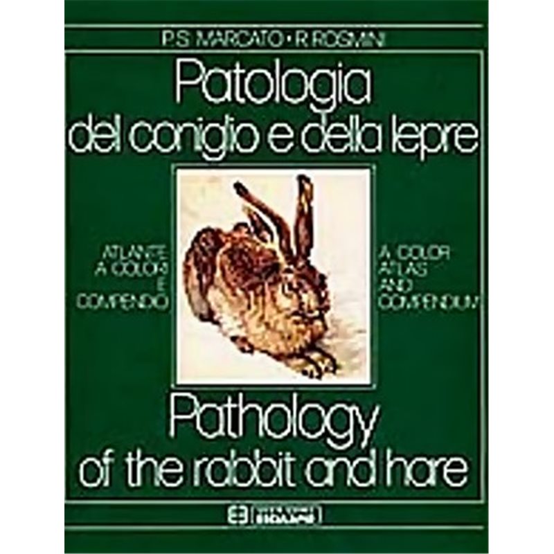 Patologia del coniglio e lepre